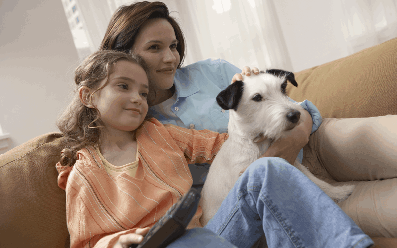 How Can Pet Owners Maintain Their IAQ in Germantown, MD?
